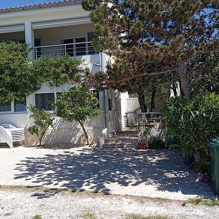 Apartment Sanja Petrcane Exterior foto