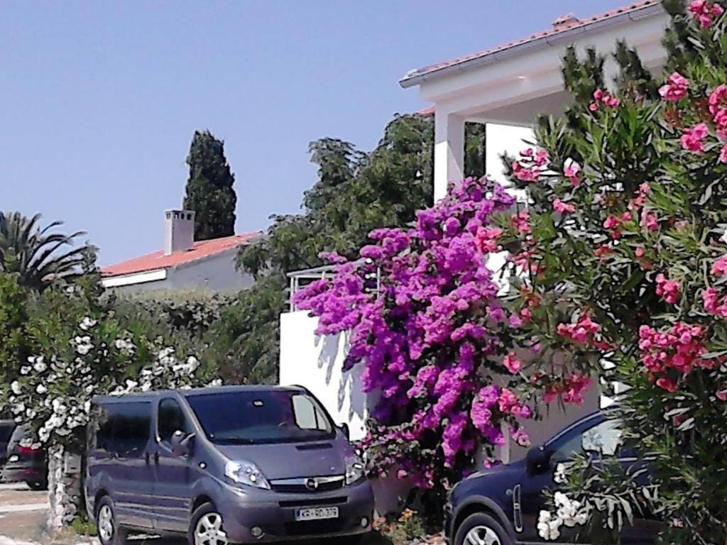 Apartment Sanja Petrcane Exterior foto